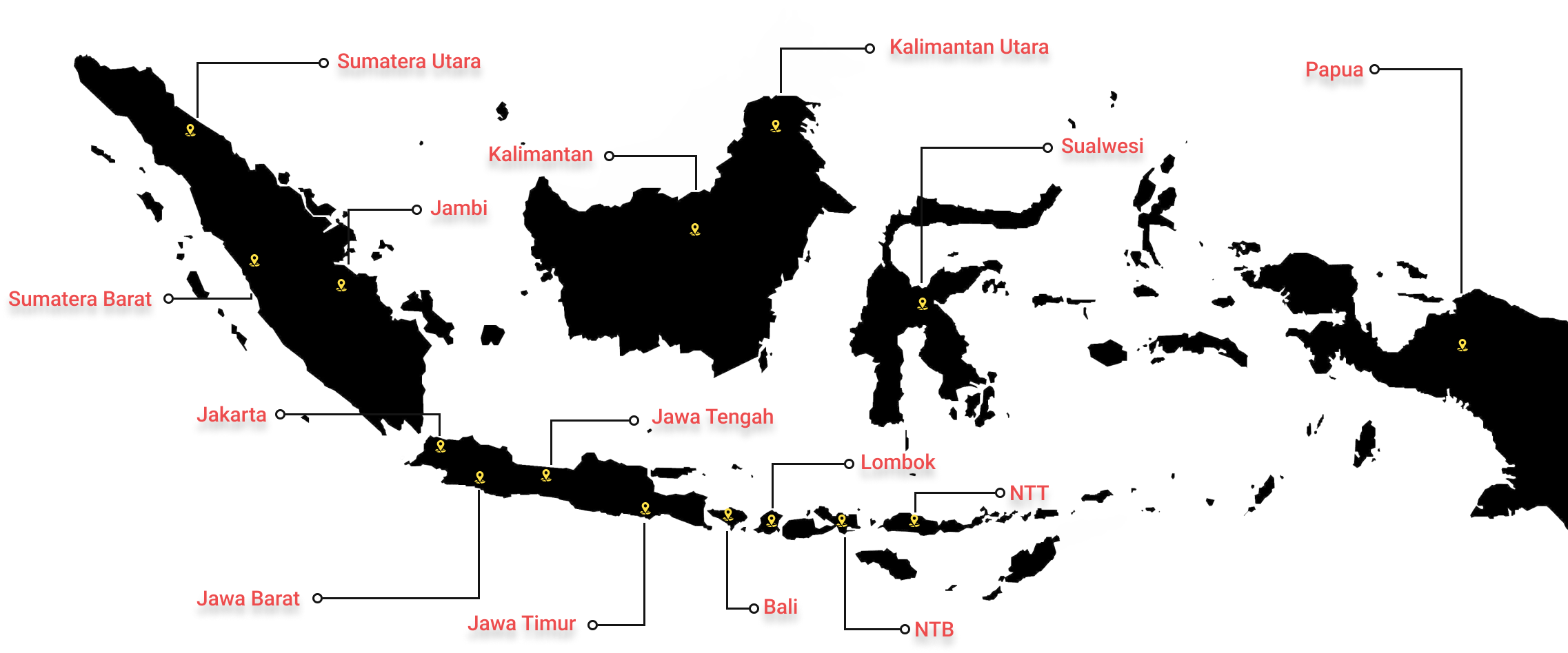 Trusted By Many Partners In Indonesia